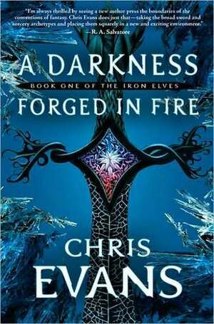 A Darkness Forged in Fire by Chris Evans