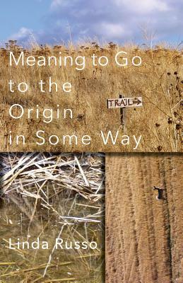 Meaning to Go to the Origin in Some Way by Linda Russo