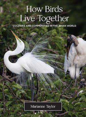 How Birds Live Together: Colonies and Communities in the Avian World by Marianne Taylor