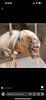 camybyrn's profile picture