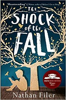 The Shock of the Fall by Nathan Filer