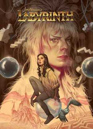 Jim Henson's Labyrinth Artist Tribute by Dustin Nguyen, Sierra Hahn, Mike Allred, Jill Thompson, Mark Buckingham, Ramón Pérez, Gustavo Duarte, Eric Powell, Joëlle Jones, David Mack, Faith Erin Hicks