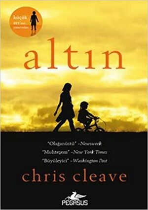 Altin by Chris Cleave