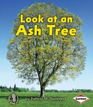 Look at an Ash Tree by Patricia M. Stockland
