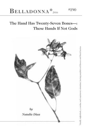 The Hand Has Twenty-Seven Bones—:These Hands If Not Gods by Natalie Diaz