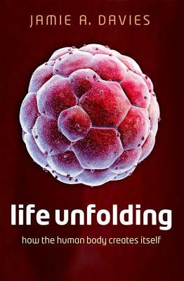 Life Unfolding: How the Human Body Creates Itself by Jamie A. Davies