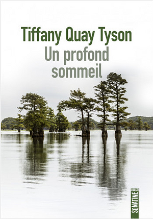 Un profond sommeil by Tiffany Quay Tyson