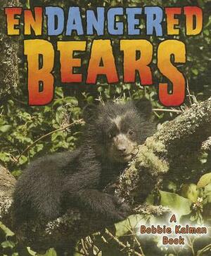 Endangered Bears by Kylie Burns, Bobbie Kalman