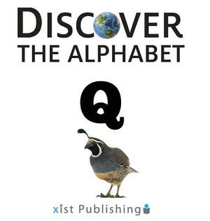 Q by Xist Publishing