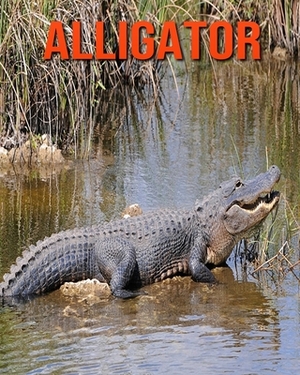 Alligator: Children Book of Fun Facts & Amazing Photos by Kayla Miller