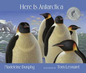 Here Is Antarctica by Madeleine Dunphy