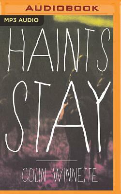 Haints Stay by Colin Winnette