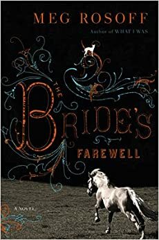 The Bride's Farewell by Meg Rosoff