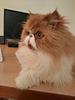 bailey_t_abbott's profile picture