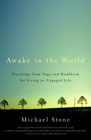 Awake in the World: Teachings from Yoga and Buddhism for Living an Engaged Life by Michael Stone