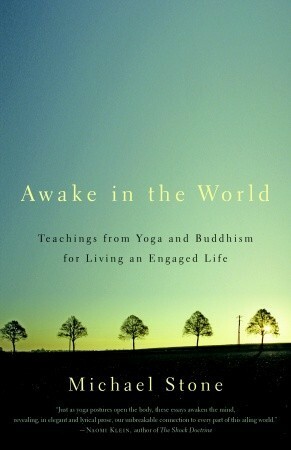 Awake in the World: Teachings from Yoga and Buddhism for Living an Engaged Life by Michael Stone