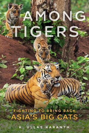 Among Tigers: Fighting to Bring Back Asia's Big Cats by K. Ullas Karanth, K. Ullas Karanth