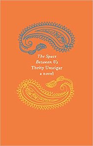 The Space Between Us by Thrity Umrigar