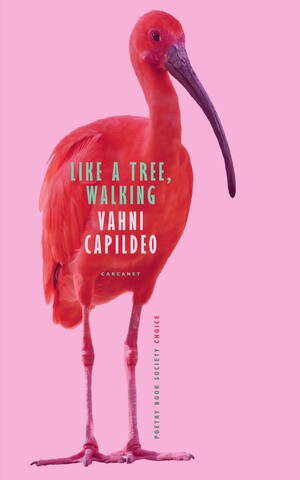 Like a Tree, Walking by Vahni Capildeo