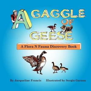 A Gaggle of Geese: A Flora N. Fauna Discovery Book by Jacqueline Francis
