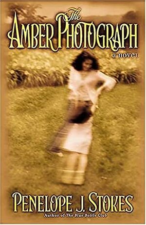 The Amber Photograph by Penelope J. Stokes