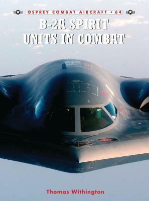B-2a Spirit Units in Combat by Thomas Withington