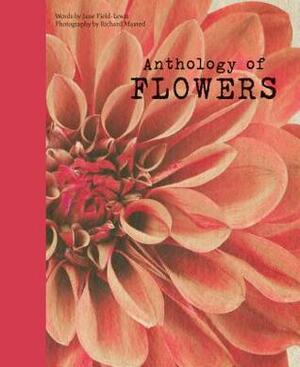 Anthology of Flowers by Jane Field-Lewis, Richard Maxted