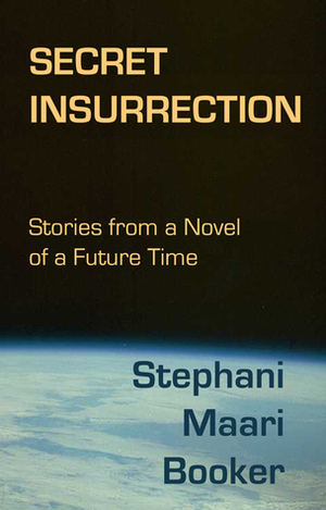 Secret Insurrection: Stories from a Novel of a Future Time by Stephani Maari Booker