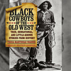 Black Cowboys of the Old West: True, Sensational, and Little-Known Stories from History by Tricia Martineau Wagner