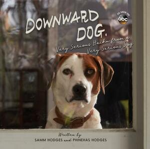 Downward Dog: Very Serious Haiku from a Very Serious Dog by Samm Hodges, Phinehas Hodges