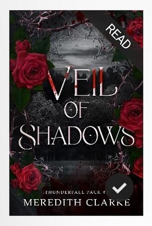 Veil Of Shadows by Meredith Clarke