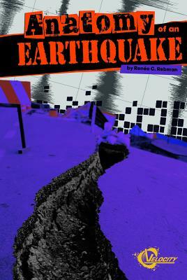 Anatomy of an Earthquake by Renée C. Rebman