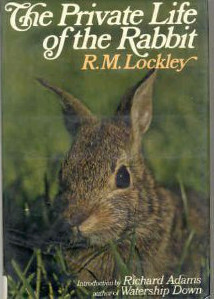 The Private Life Of The Rabbit; An Account Of The Life History And Social Behavior Of The Wild Rabbit by R.M. Lockley