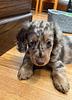 oliviam_eyer's profile picture