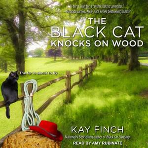The Black Cat Knocks on Wood by Kay Finch
