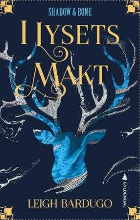 I lysets makt by Leigh Bardugo