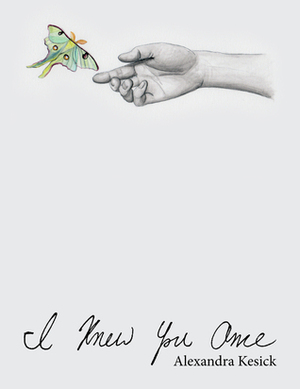 I Knew You Once by Alexandra Kesick