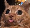 gunslinger's profile picture