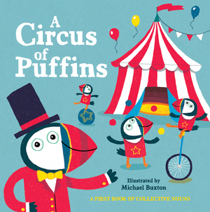 A Circus of Puffins by 