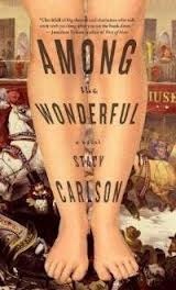 Among the Wonderful by Stacy Carlson