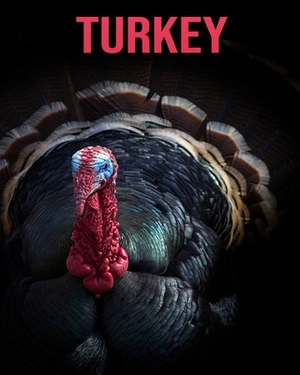 Turkey: Super Fun Facts And Amazing Pictures by Cheryl Stewart