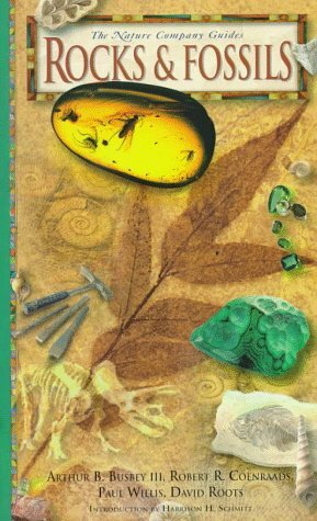 Rocks & Fossils by Paul M.A. Willis, Robert R. Coenraads, Arthur Bresnahan Busbey, David Roots