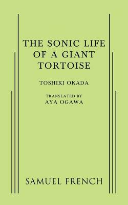 A Sonic Life of a Giant Tortoise by Toshiki Okada