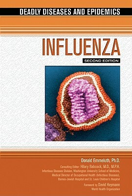 Influenza by Donald Emmeluth