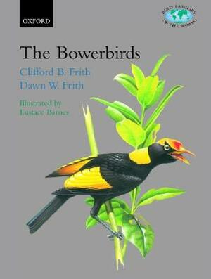 The Bowerbirds: Ptilonorhynchidae by Clifford B. Frith, Dawn W. Frith