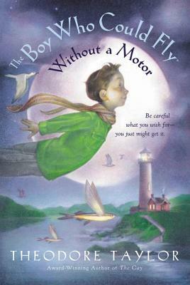 The Boy Who Could Fly Without a Motor by Theodore Taylor