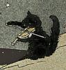 teapotghost's profile picture