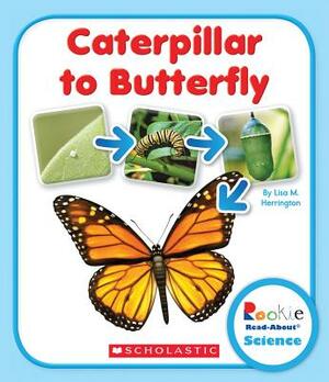 Caterpillar to Butterfly by Lisa M. Herrington