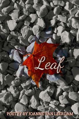 Leaf by Joanne Van Leerdam