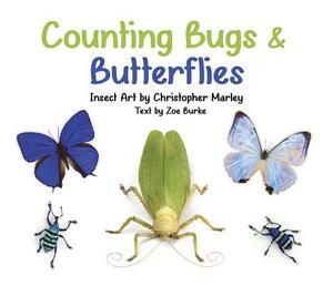 Counting Bugs and Butterflies: Insect Art by Christopher Marley by Zoe Burke